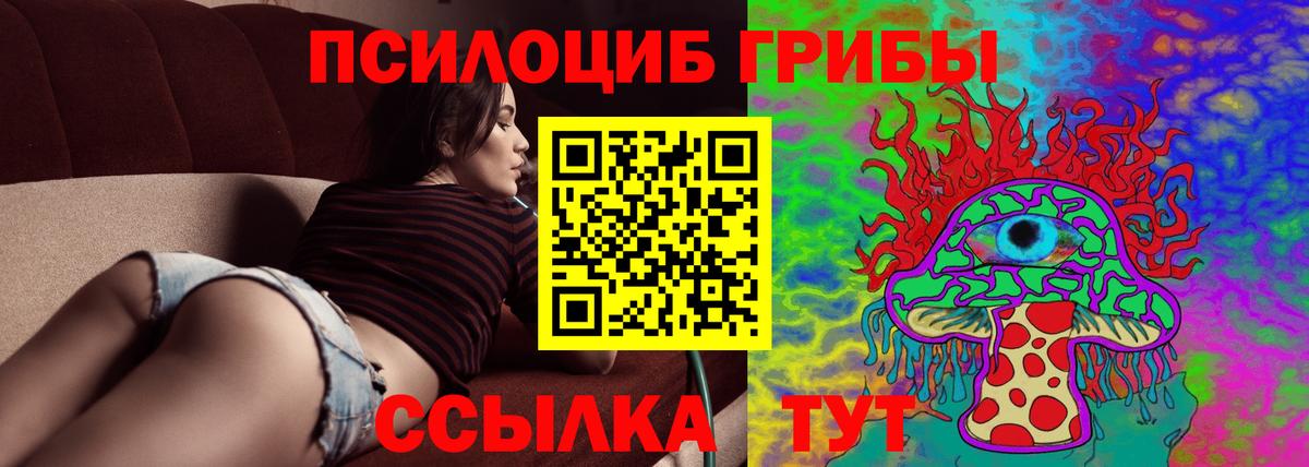 Псилоцибиновые грибы прущие грибы Ногинск
