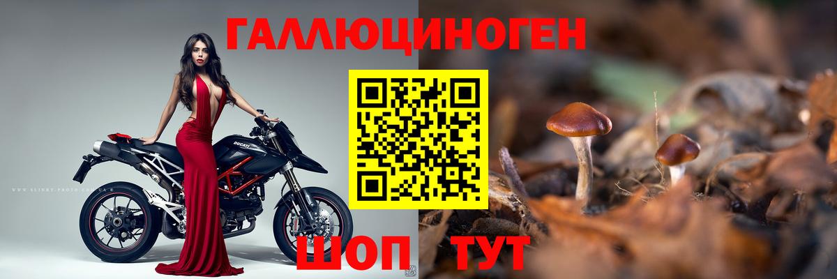 Псилоцибиновые грибы прущие грибы  Вход с VPN  Ногинск 